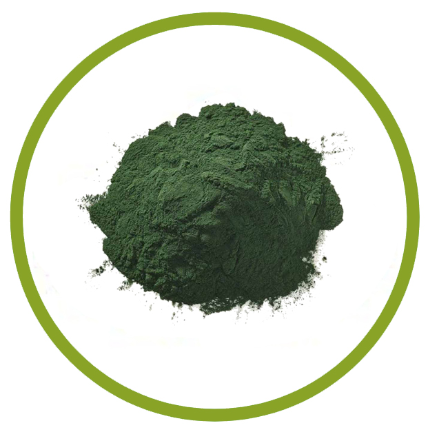 espirulina espirulina